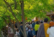 万物繁茂、蓬勃生机…你所向往的夏日生活，真的泰酷辣！