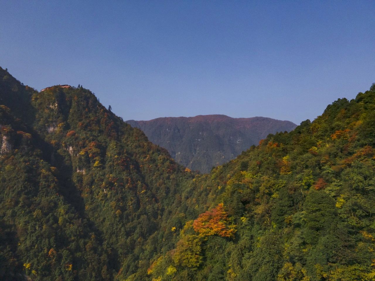 峨眉雪芽在川茶经济年会上载誉而归！