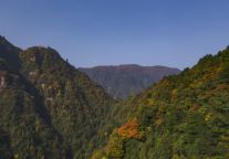 峨眉雪芽在川茶经济年会上载誉而归！