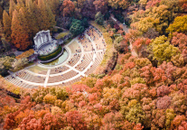 “苏超”带火民航出行 开赛以来503万人次飞往江苏