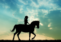 阿勒泰，“密谋”已久