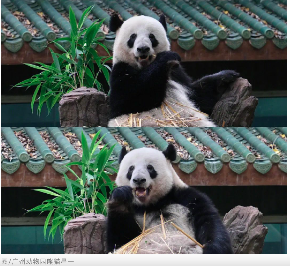 截屏2023-10-27 14.36.33.png