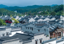 这届中产人，都想住进博物馆里 