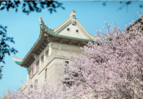 小长假叠加赏花季，酒店如何借春风？ 