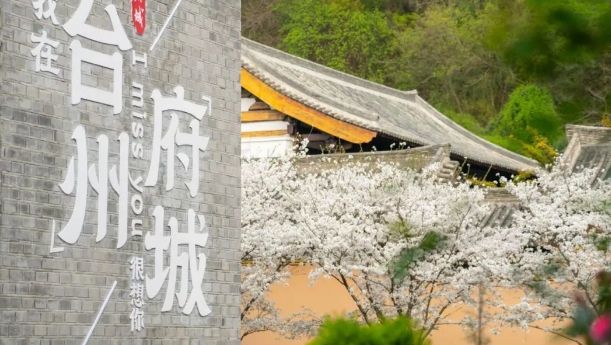 府城“店小二” 服务“零距离 ” | 台州府城请您“扫一扫”