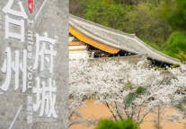 府城“店小二” 服务“零距离 ” | 台州府城请您“扫一扫”