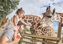 万豪国际宣布签约丽思卡尔顿和JW万豪品牌的豪华野生动物园营地协议