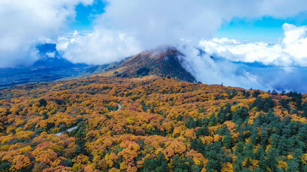 国庆畅游峨眉山景区 暖心服务好风光