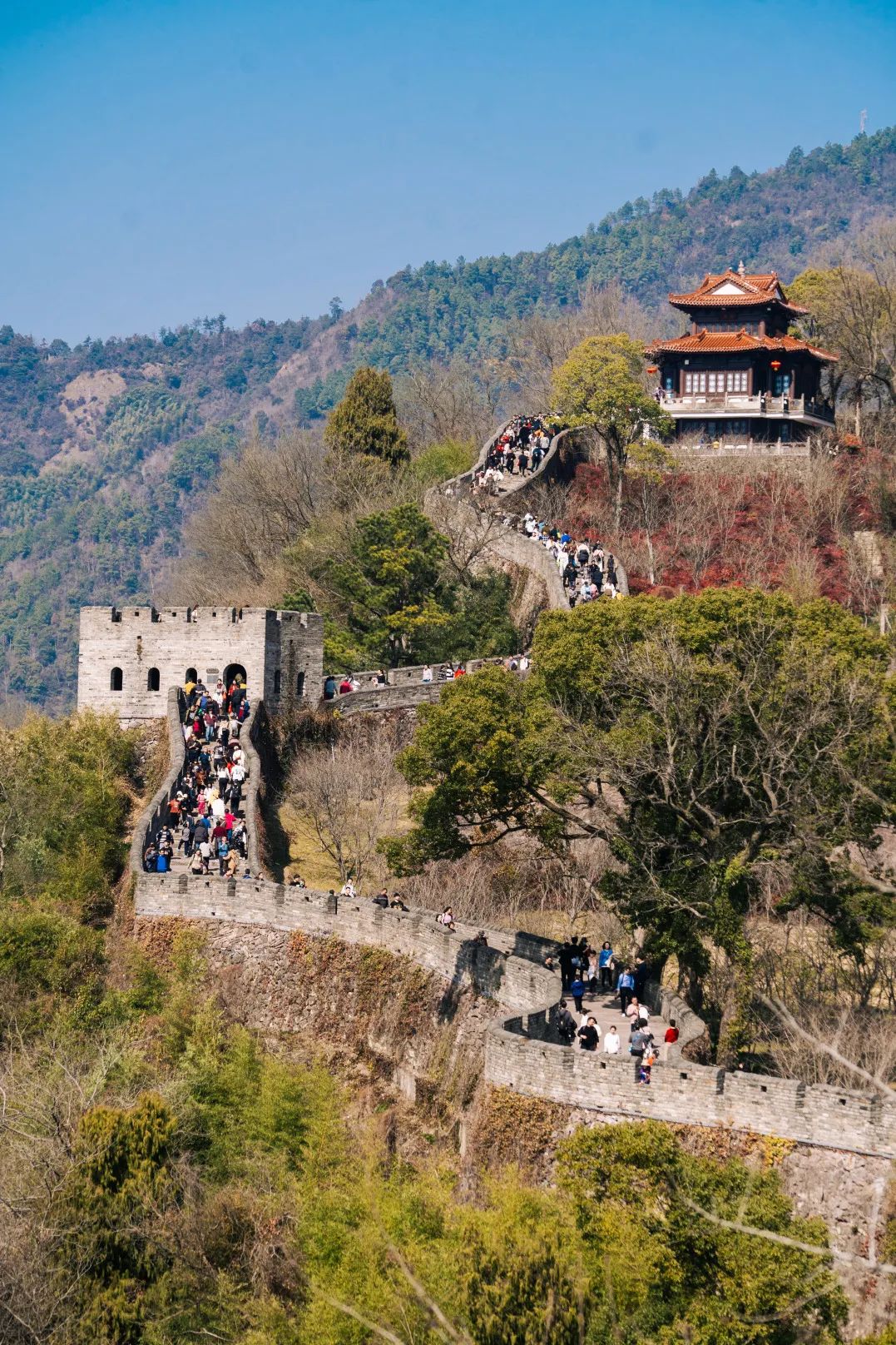 台州府城成这个春节全国最热门景区