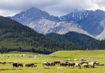 新疆第一站，24小时极限游乌鲁木齐