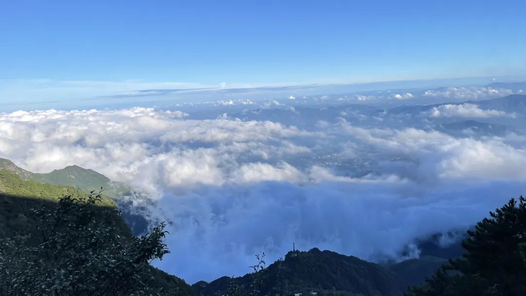 武功山三大美景已就位，你的“驴行”搭子找好了吗～