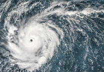 海南省旅游饭店业协会倡议：让酒店成为受灾居民临时的避风港