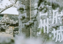 “繁樱宋韵宴 寻梦台州府”③|江南最美“古寺樱花” 一夜怒放，浪漫诗意暴美出圈！