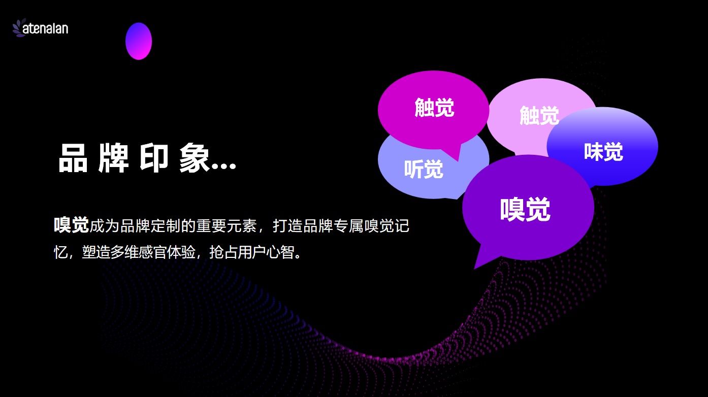 阿迪纳兰01.png