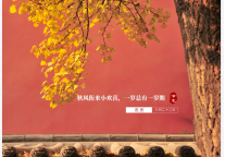 雅阁酒店集团|立秋，云天收夏色，木叶动秋声