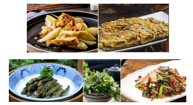 陆羽君澜|知时节 食春鲜