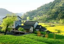 福建加快农文旅融合，创新拓展乡村文旅消费场景 