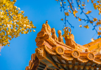 周口店遗址5A级国家旅游景区启动创建