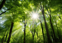 东呈集团发布“零碳旅呈”ESG战略