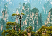 张家界：2024年预亏增至5.5亿至6.5亿