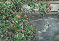 安仁古镇又“上新”!打卡正当时