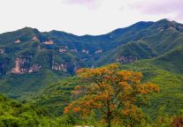 向云端！快来邂逅云丘山云海奇观！美不胜收！宛若仙境！