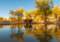 锦旅B股：董事会决议聘任沈敏为副总裁