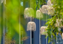 运河祈利酒店(黄龙璀丽)，好评99%的最美江南，错过这个时节就太遗憾了!