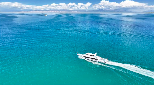 选定公告|青海湖景区浪漫青海湖·目的地婚礼招商项目候选服务商选定公告