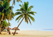 三亚旅游景区和文体场所全部恢复对外开放