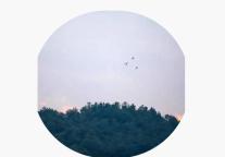 雅阁酒店集团|初冬·礼遇，围炉火锅悠享冬日