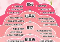 云酒店：春日赏花之旅的不二之选