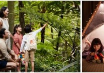 丽思卡尔顿酒店焕新升级丽思儿童项目