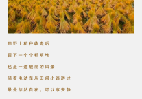 雅阁酒店集团|金秋时节漫步云南，尽在雅阁璞邸酒店