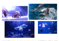 雅阁酒店集团|亲子度假，这里有一份大理周末遛娃攻略