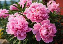 格盟酒店，初春洛阳、约您来见   