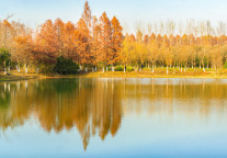 万豪收购户外住宿品牌 Postcard Cabins，进军户外酒店市场