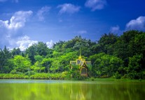 2025年2月10日起东盟国家旅游团可免签入境云南西双版纳