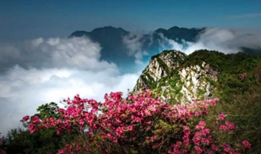 庐山风景区五老峰徒步挑战赛火热开启！