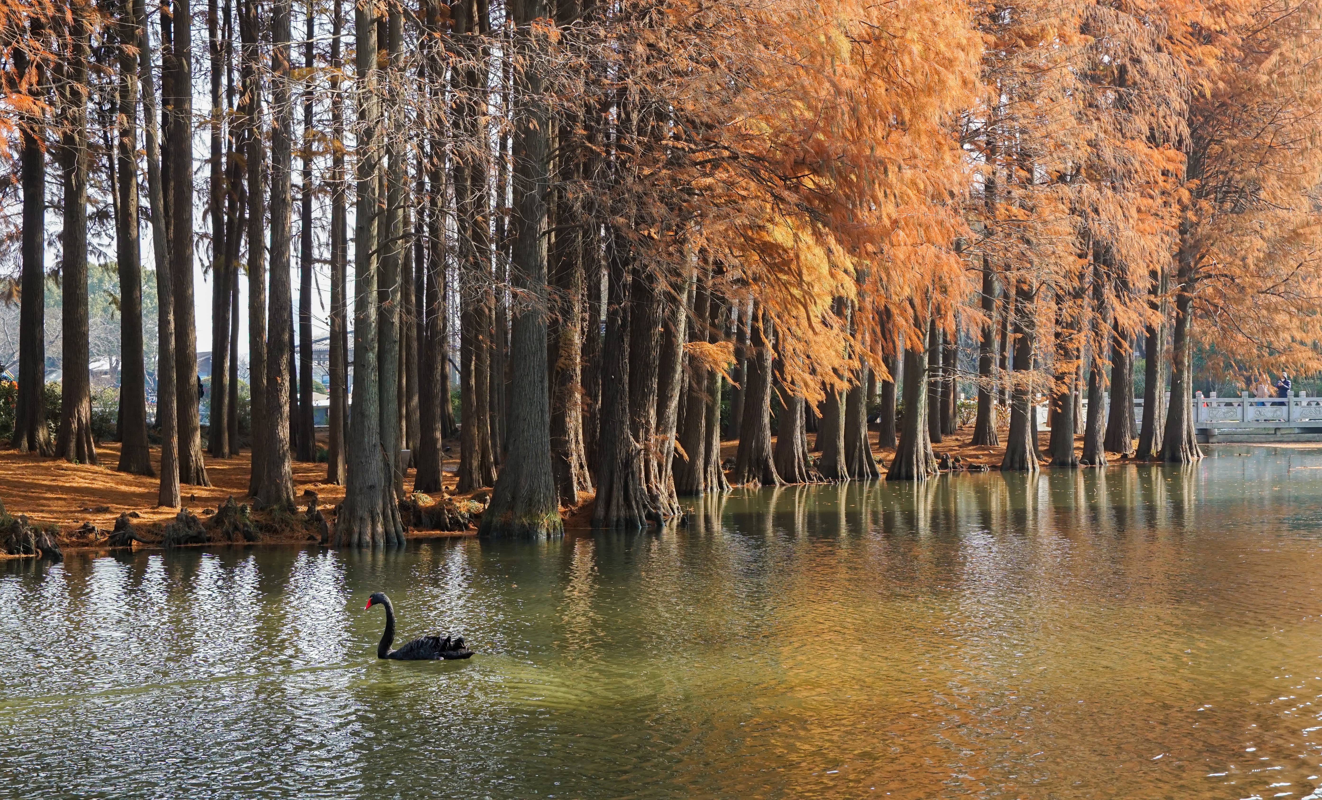 宜兴城建文旅集团调整治理结构