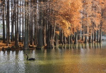 宜兴城建文旅集团调整治理结构