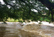 正式转向碳排放双控，酒店转型迎来“新增长极”！谁敢争先？