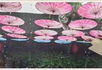 安仁古镇游览路线推荐之美丽乡村亲子研学游