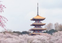 湖北文旅集团集中启动9个项目 丽江颐养中心正式开业