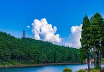 解锁明月山景区的N种玩法，不负秋光，一起去旅行！