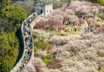 日均20万+ ，位列全省前三！众明星奔赴打卡台州府城！