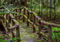 曼谷奈乐安缦官宣4月开业