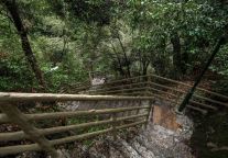 三清山景区民宿竟如此优惠