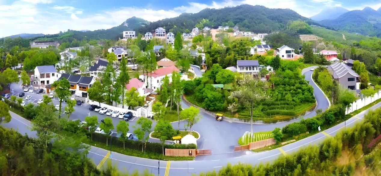 乡村情怀——浙江安吉“小瘾·半日村”民宿集群运营模式之特色