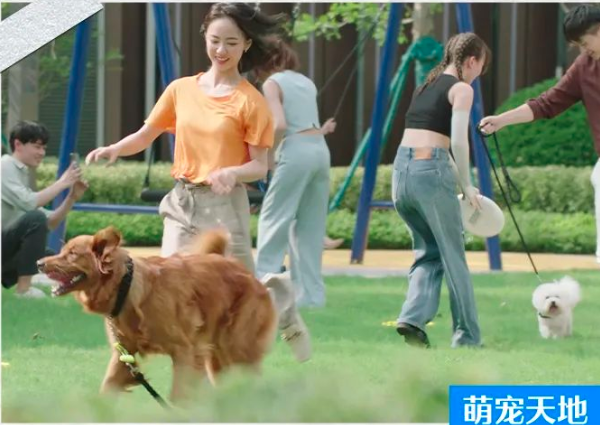 图片28.png